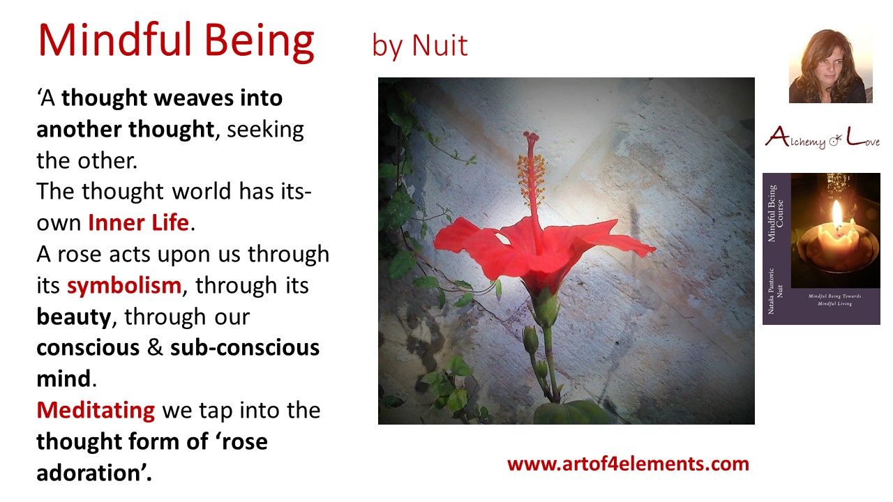 Mindful Being quote by Nuit about inner life, happiness, meditation, mindfulness